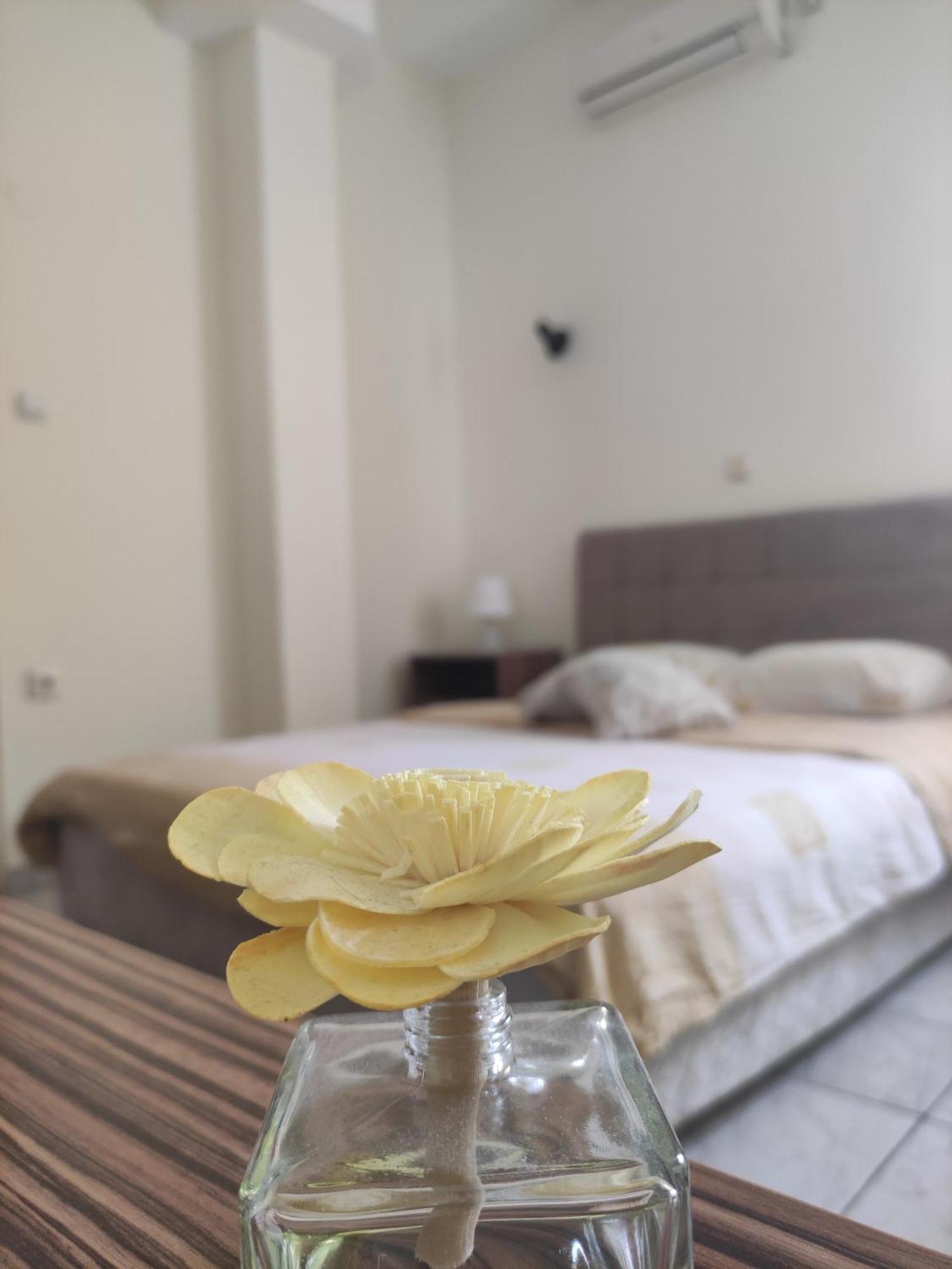 B&B Bebinac Leskovac  Exteriör bild